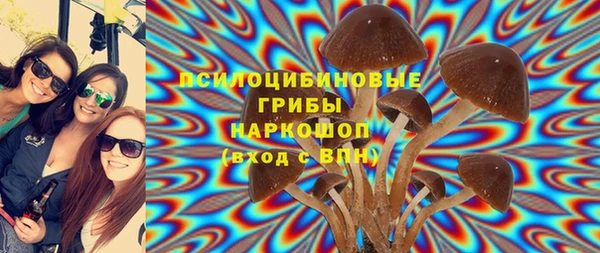 таблы Горняк