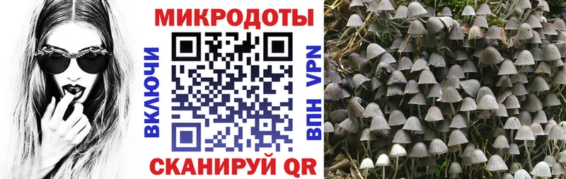 OMG зеркало  Нальчик  Псилоцибиновые грибы MAGIC MUSHROOMS 