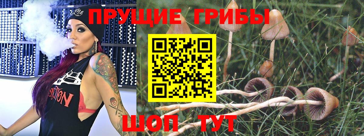 Галлюциногенные грибы мухоморы  Нальчик 