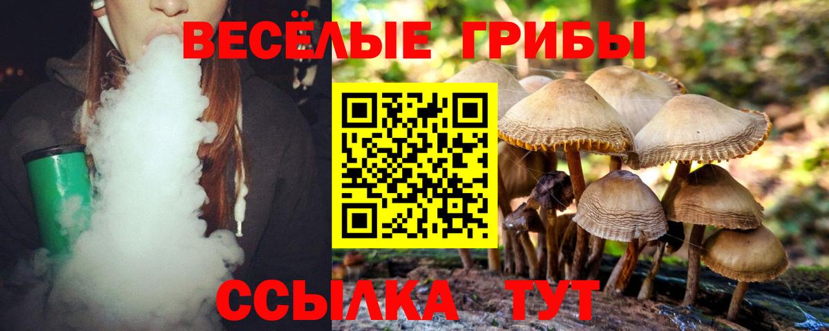 Нальчик  Псилоцибиновые грибы мухоморы  цены   Псилоцибиновые грибы Magic Shrooms  Вход с VPN 